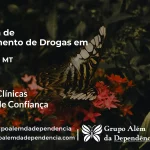 Tratamento de Drogas em Denise - MT | Clínica de Recuperação