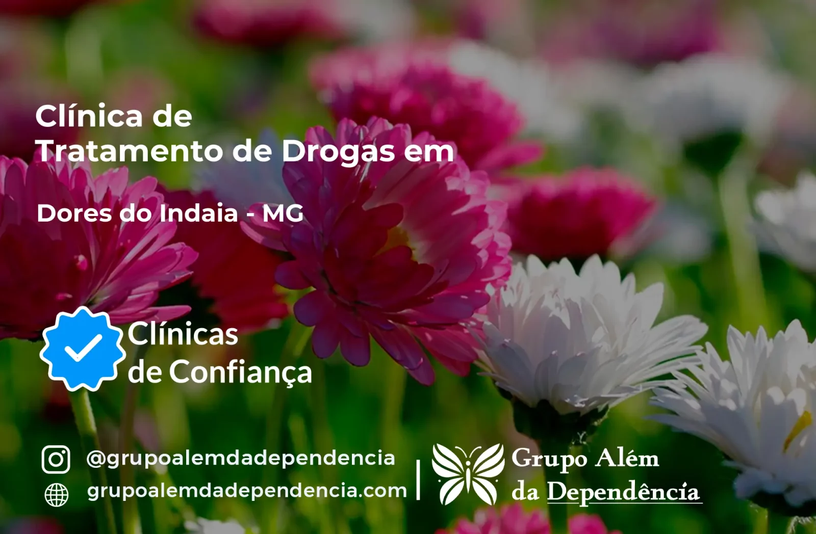 Tratamento de Drogas em Dores do Indaiá - MG | Clínica de Recuperação