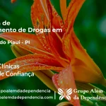 Tratamento de Drogas em Fartura do Piauí - PI | Clínica de Recuperação