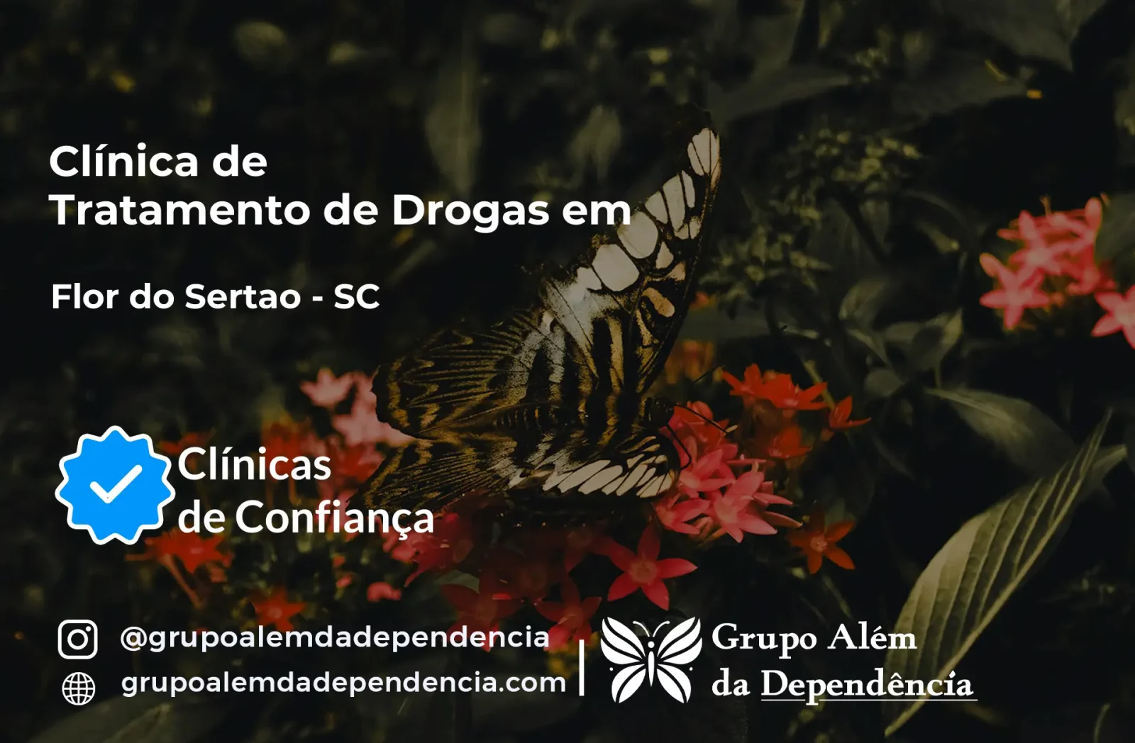 Tratamento de Drogas em Flor do Sertão - SC | Clínica de Recuperação