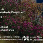 Tratamento de Drogas em Floraí - PR | Clínica de Recuperação