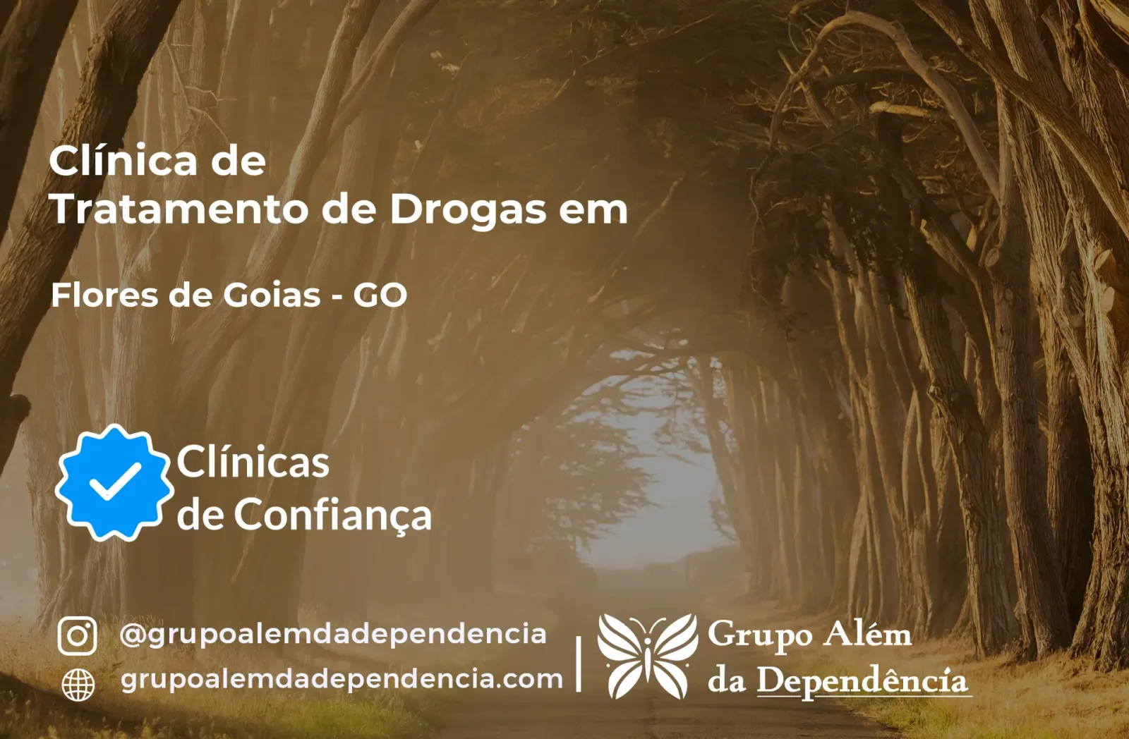 Tratamento de Drogas em Flores de Goiás - GO | Clínica de Recuperação