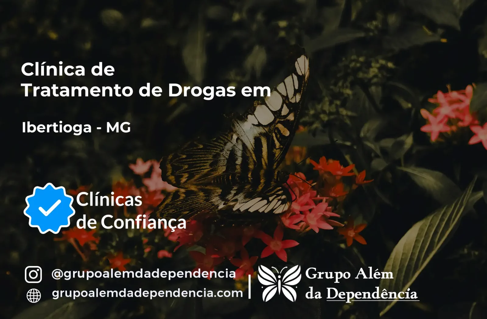 Tratamento de Drogas em Ibertioga - MG | Clínica de Recuperação