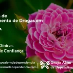 Tratamento de Drogas em Ichu - BA | Clínica de Recuperação