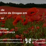 Tratamento de Drogas em Igaratá - SP | Clínica de Recuperação