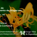 Tratamento de Drogas em Imbituva - PR | Clínica de Recuperação