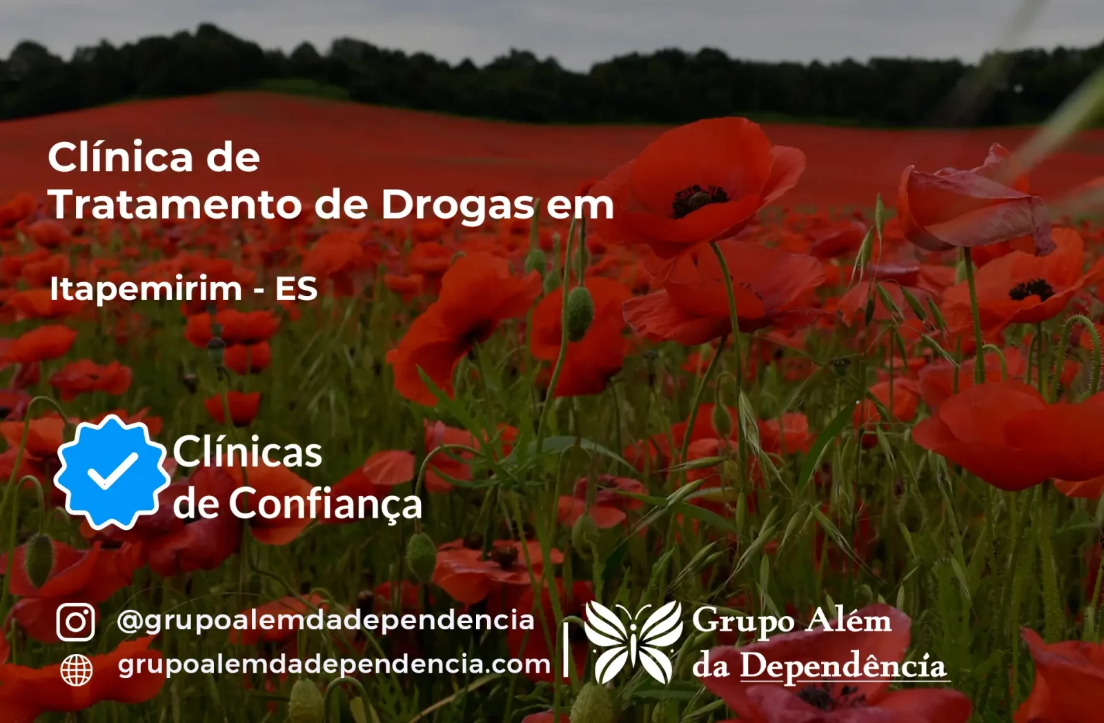 Tratamento de Drogas em Itapemirim - ES | Clínica de Recuperação