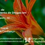 Tratamento de Drogas em Lacerdópolis - SC | Clínica de Recuperação