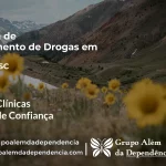 Tratamento de Drogas em Lages - SC | Clínica de Recuperação