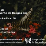 Tratamento de Drogas em Palmares Paulista - SP | Clínica de Recuperação