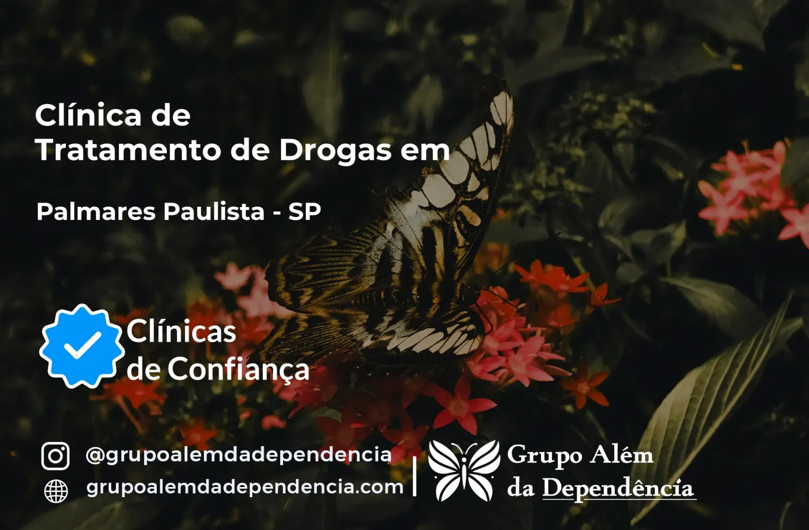 Tratamento de Drogas em Palmares Paulista - SP | Clínica de Recuperação