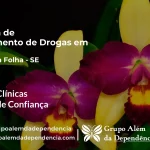 Tratamento de Drogas em Porto da Folha - SE | Clínica de Recuperação