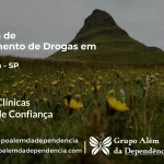 Tratamento de Drogas em Pratânia - SP | Clínica de Recuperação