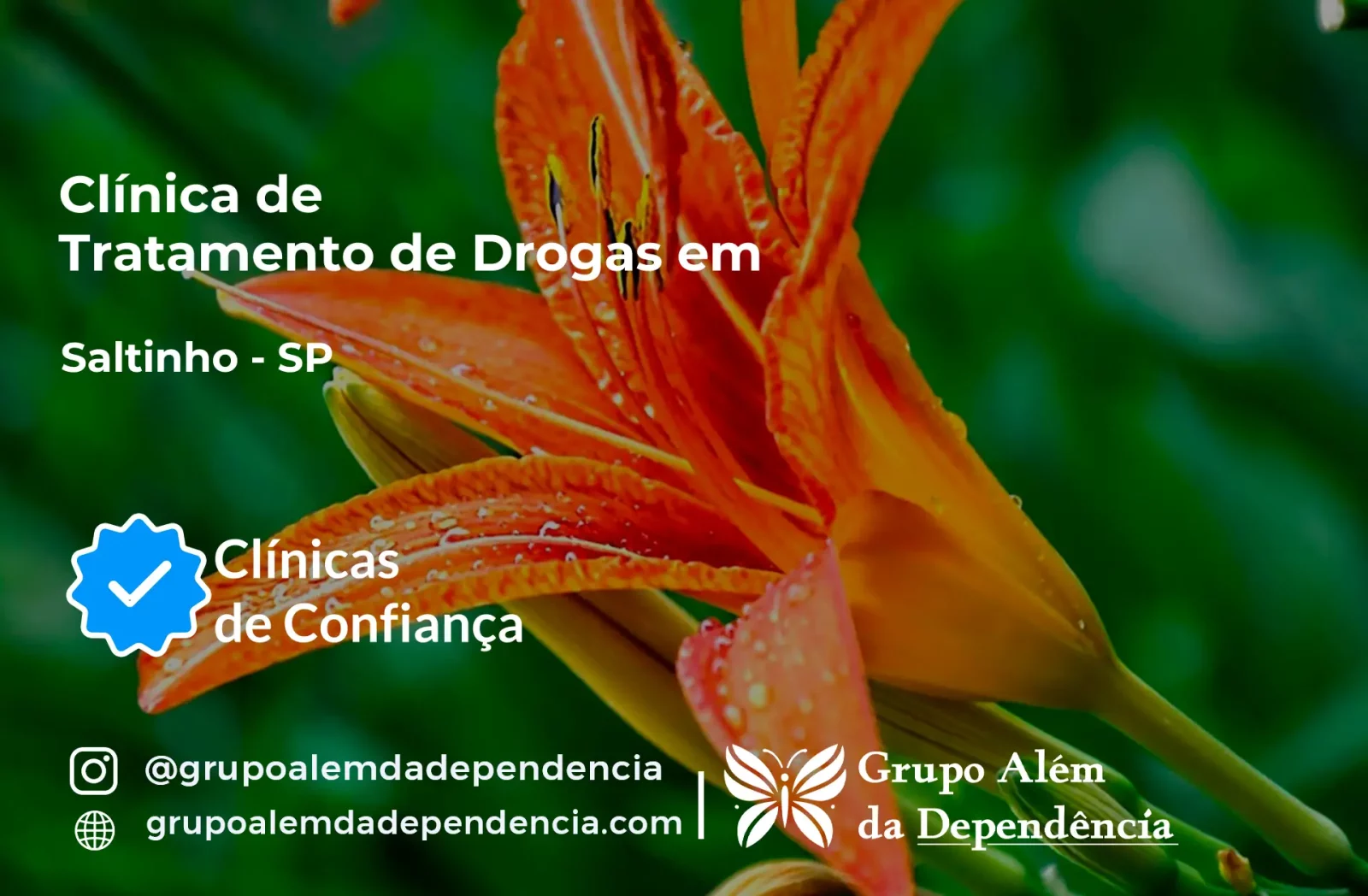 Tratamento de Drogas em Saltinho - SP | Clínica de Recuperação