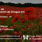 Tratamento de Drogas em Santa Filomena - PI | Clínica de Recuperação