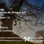 Tratamento de Drogas em Santa Helena - SC | Clínica de Recuperação