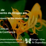 Tratamento de Drogas em Santo Antônio do Rio Abaixo - MG | Clínica de Recuperação