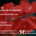 Tratamento de Drogas em São Francisco do Brejão - MA | Clínica de Recuperação