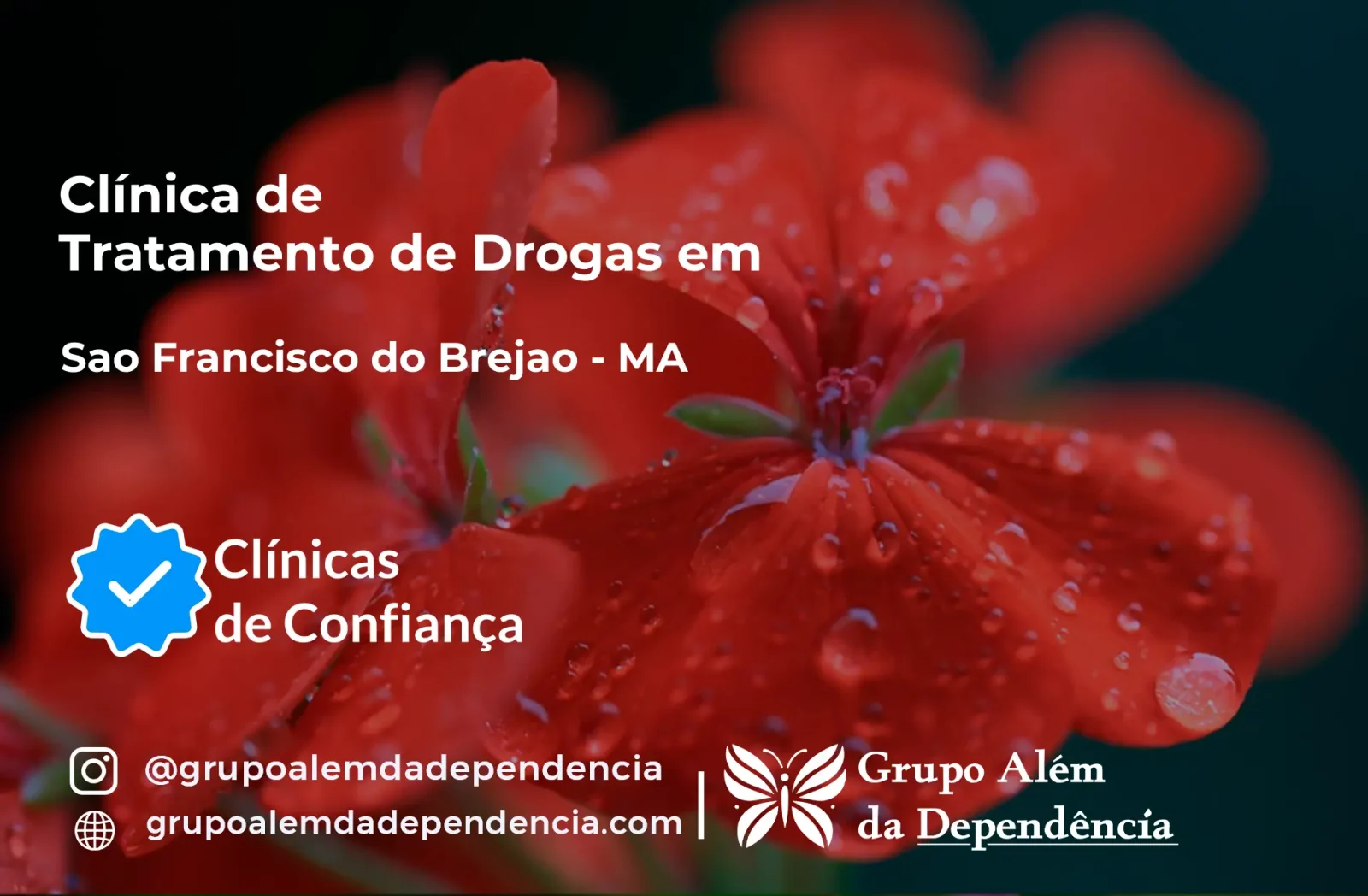 Tratamento de Drogas em São Francisco do Brejão - MA | Clínica de Recuperação