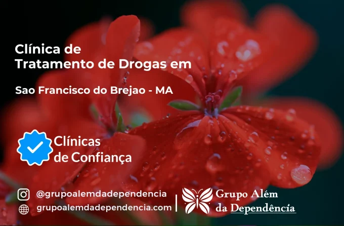 Tratamento de Drogas em São Francisco do Brejão - MA | Clínica de Recuperação