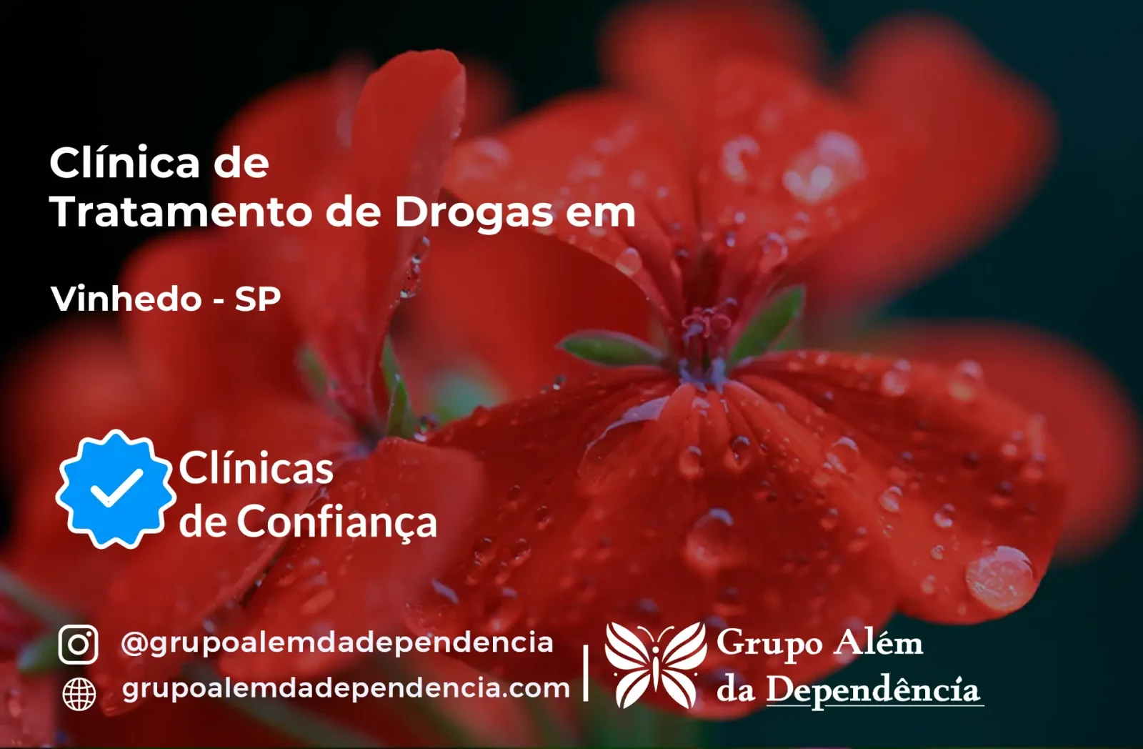 Tratamento de Drogas em Vinhedo - SP | Clínica de Recuperação