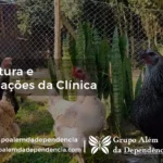 estrura-da-clinica-foto-8