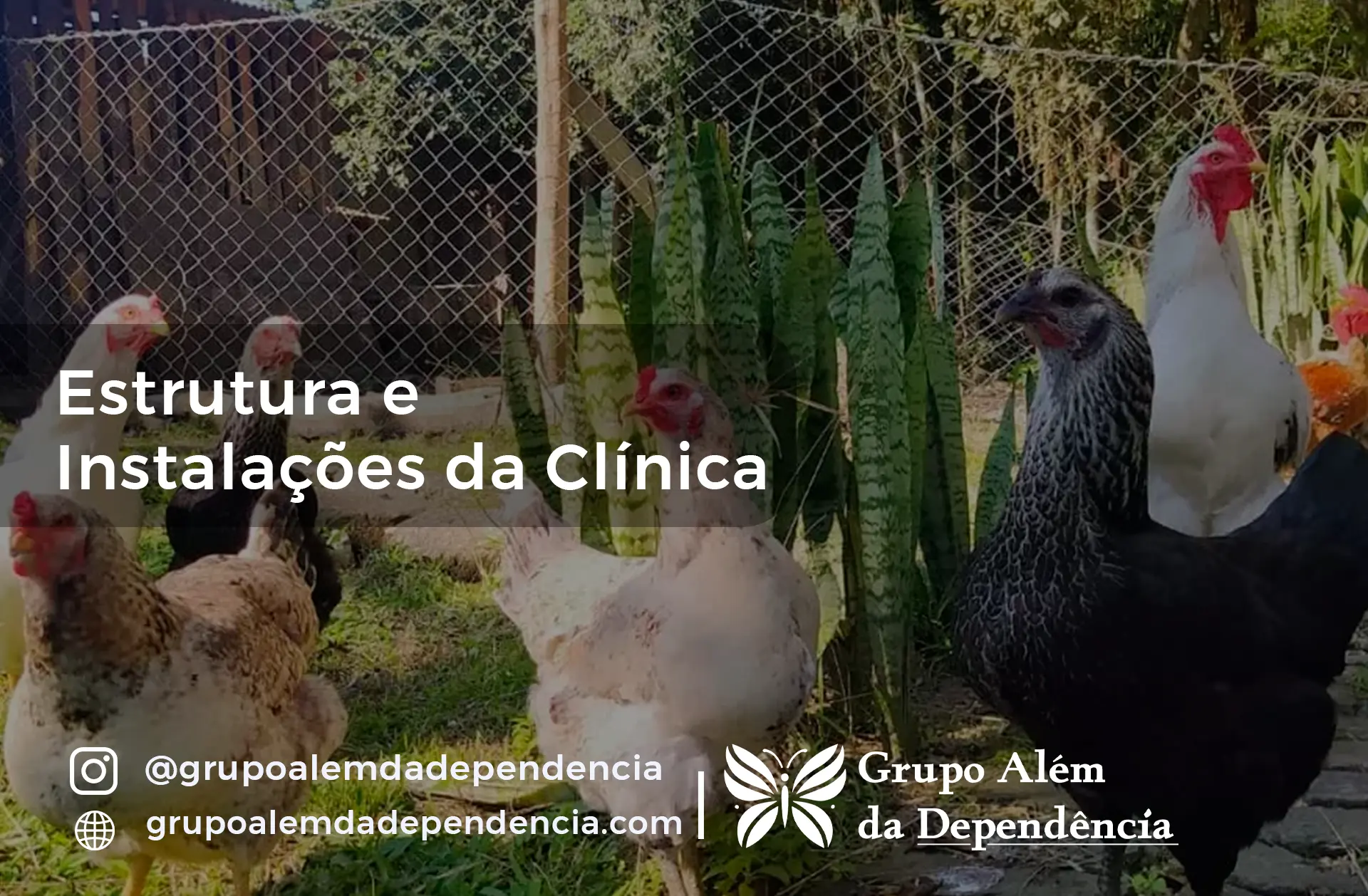 Fotos estruturas das clinicas