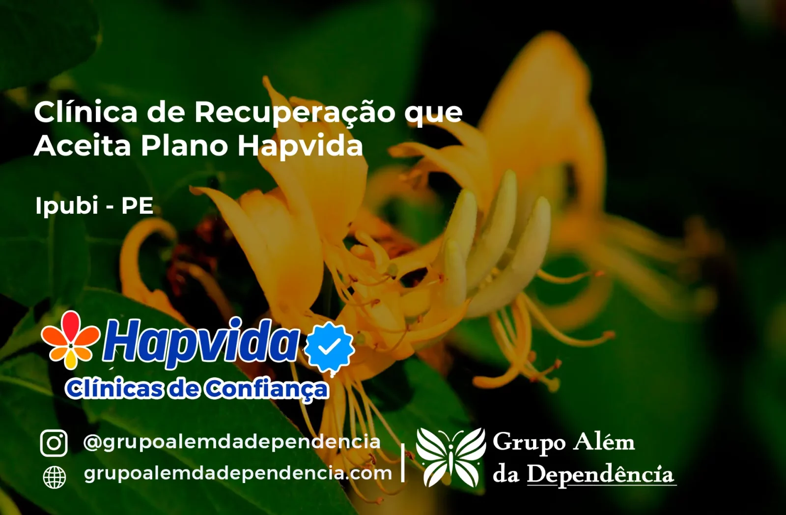 Clínica de Recuperação que Aceita Hapvida em Ipubi - PE