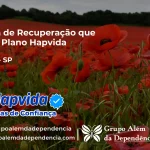 Clínica de Recuperação que Aceita Hapvida em Nantes - SP