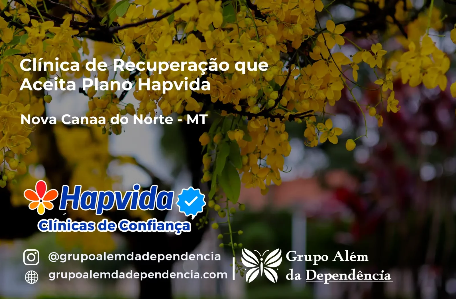 Clínica de Recuperação que Aceita Hapvida em Nova Canaã do Norte - MT