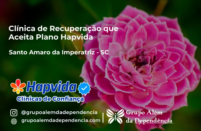 Clínica de Recuperação que Aceita Hapvida em Santo Amaro da Imperatriz - SC