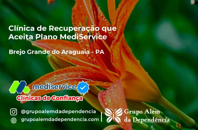 Clínica de Recuperação que Aceita Mediservice em Brejo Grande do Araguaia - PA