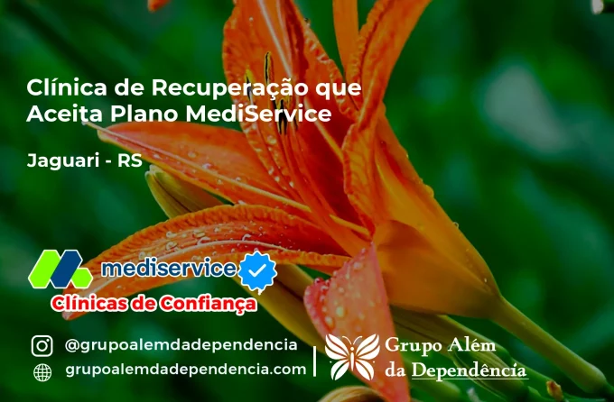 Clínica de Recuperação que Aceita Mediservice em Jaguari - RS