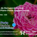 Clínica de Recuperação que Aceita Porto Seguro Saúde em Cavalcante - GO