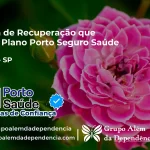 Clínica de Recuperação que Aceita Porto Seguro Saúde em Queluz - SP