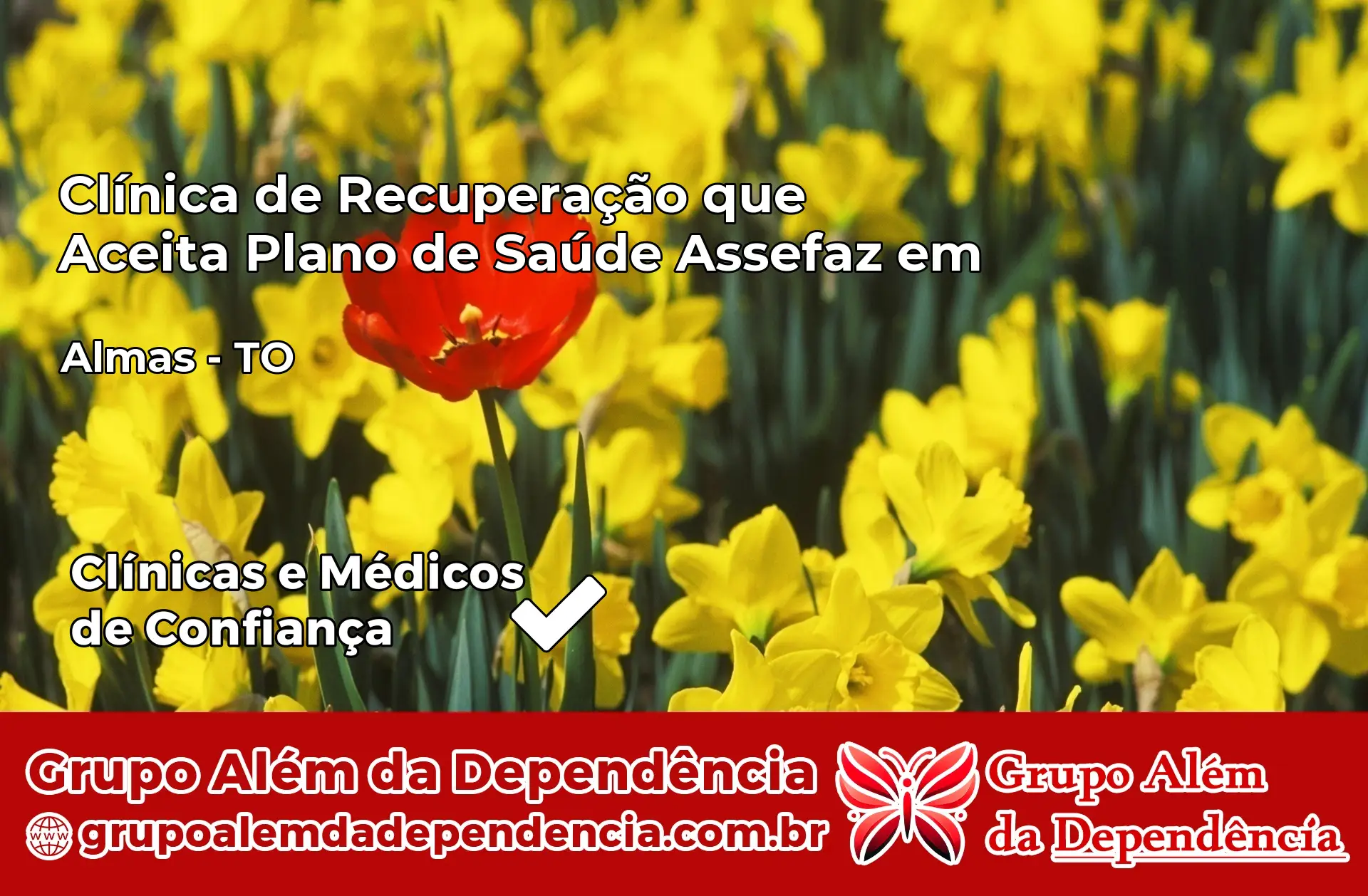 Clínica Assefaz em Almas – TO