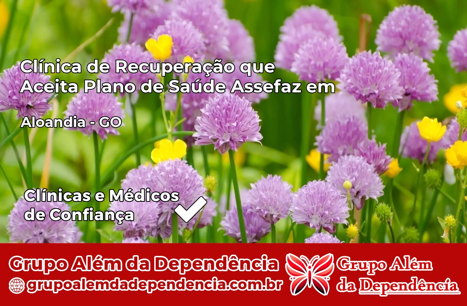 Clínica Assefaz em Aloândia – GO