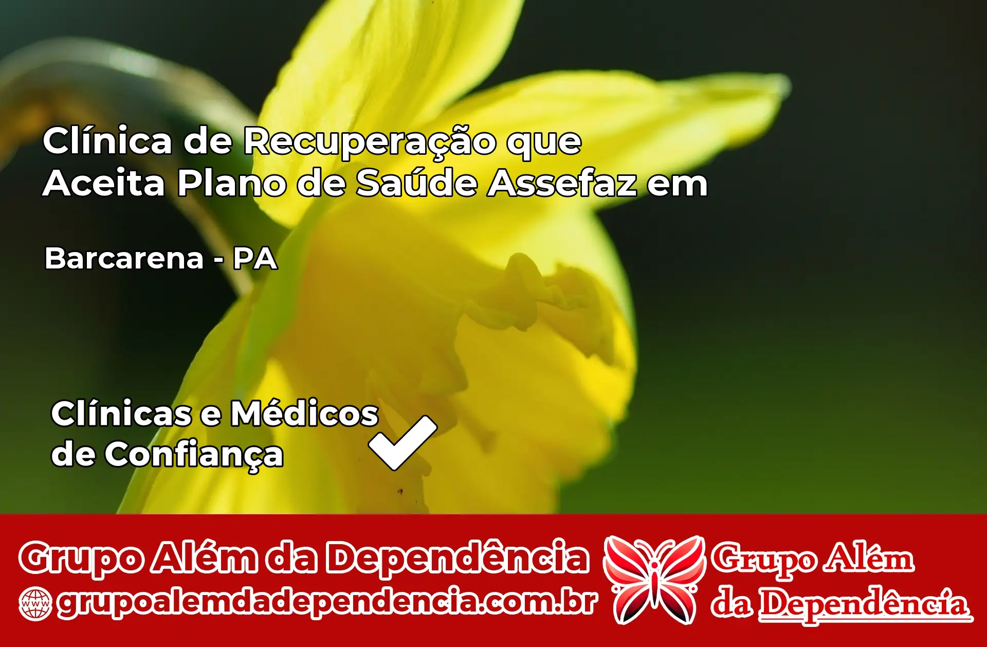Clínica Assefaz em Barcarena – PA