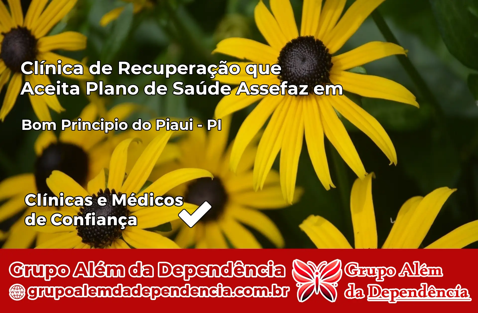 Clínica Assefaz em Bom Princípio do Piauí – PI