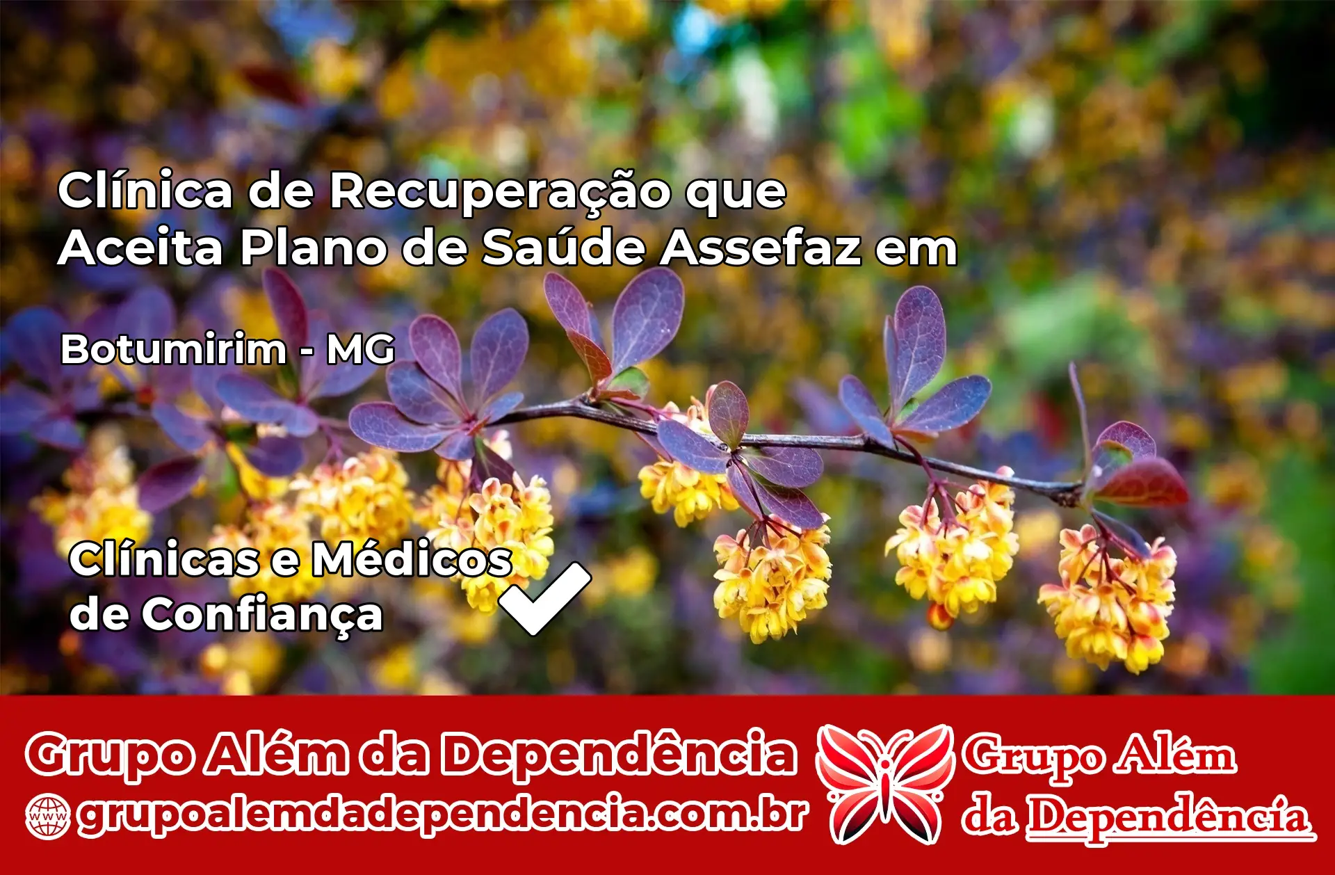 Clínica Assefaz em Botumirim – MG