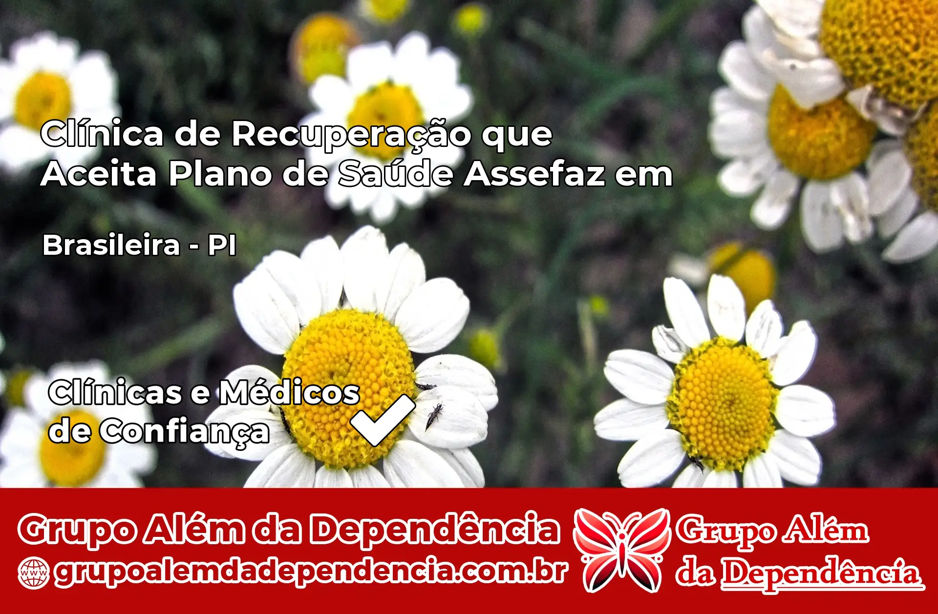 Clínica Assefaz em Brasileira – PI