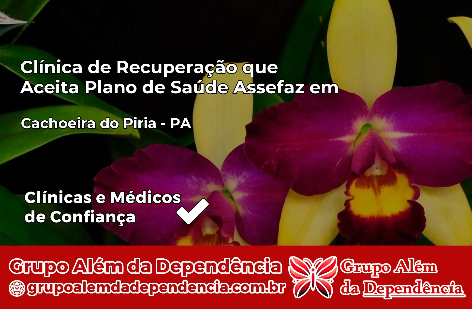 Clínica Assefaz em Cachoeira do Piriá – PA