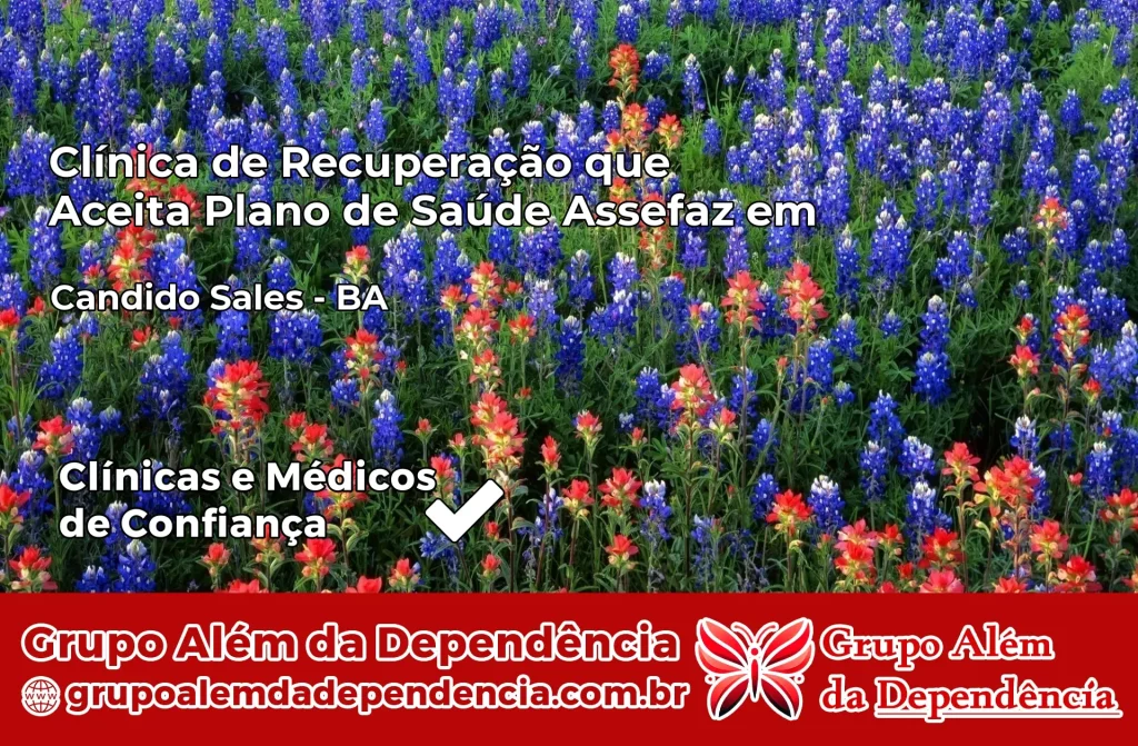 Clínica de Recuperação que Aceita Plano de Saúde Assefaz em Cândido Sales – BA 1 Clínica Assefaz em Cândido Sales – BA