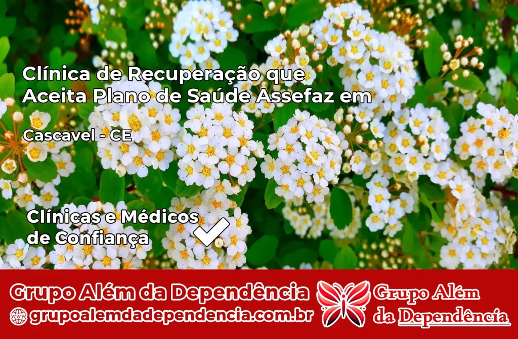 Clínica de Recuperação que Aceita Plano de Saúde Assefaz em Cascavel – CE 1 Clínica Assefaz em Cascavel – CE