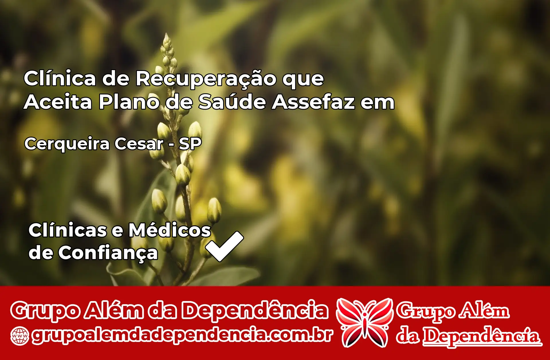 Clínica Assefaz em Cerqueira César – SP