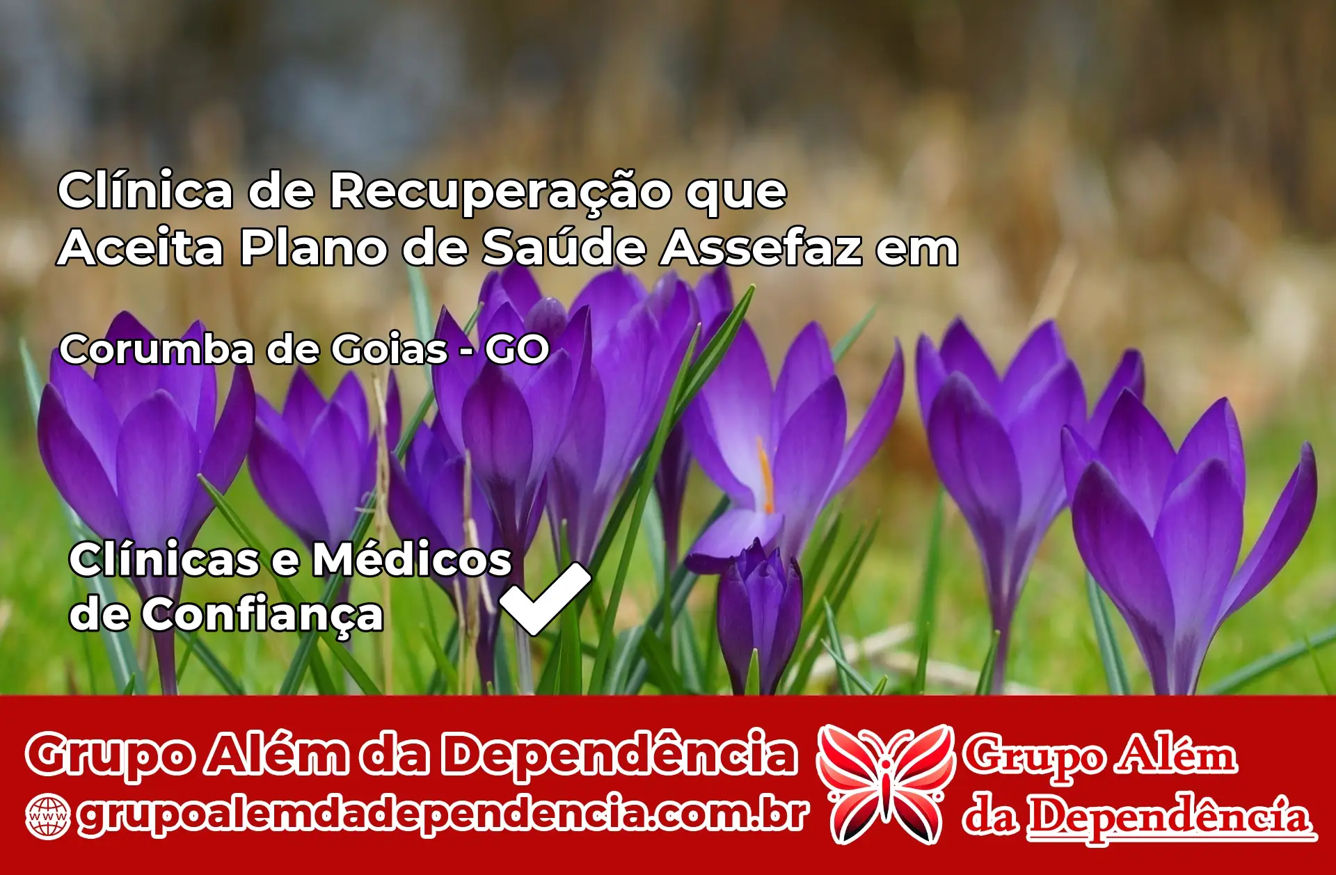 Clínica Assefaz em Corumbá de Goiás – GO