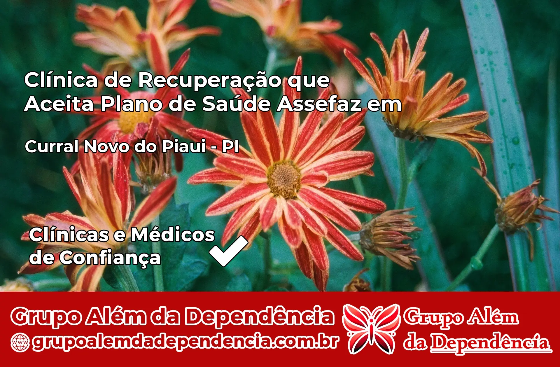 Clínica Assefaz em Curral Novo do Piauí – PI