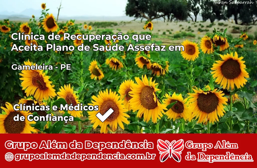 Clínica de Recuperação que Aceita Plano de Saúde Assefaz em Gameleira – PE 1 Clínica Assefaz em Gameleira – PE