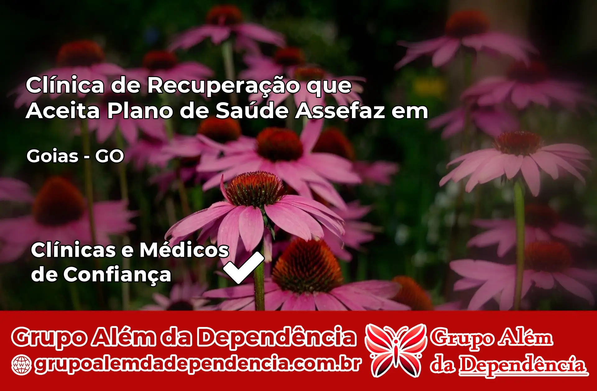 Clínica Assefaz em Goiás – GO