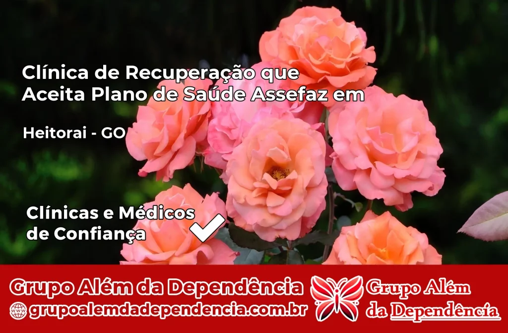 Clínica de Recuperação que Aceita Plano de Saúde Assefaz em Heitoraí – GO 1 Clínica Assefaz em Heitoraí – GO